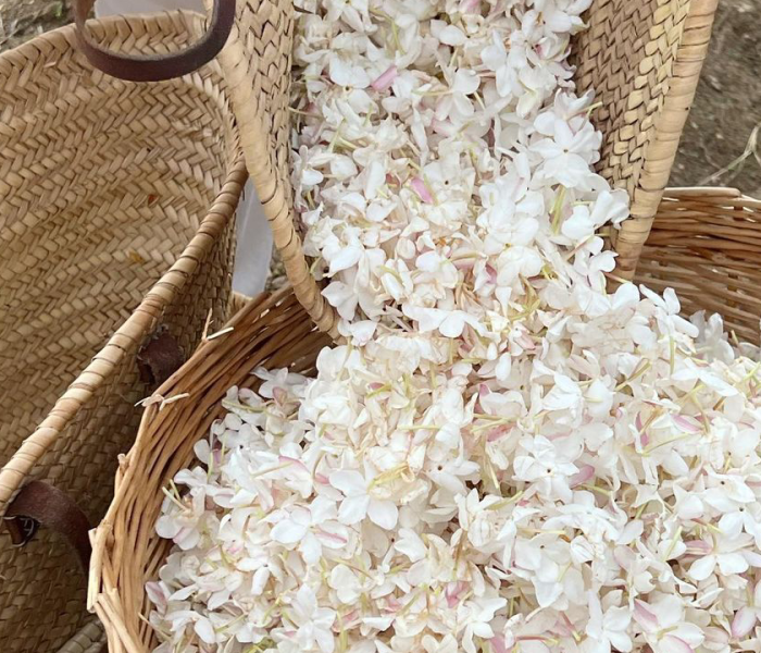 Screenshot_20221024-220045_cropped